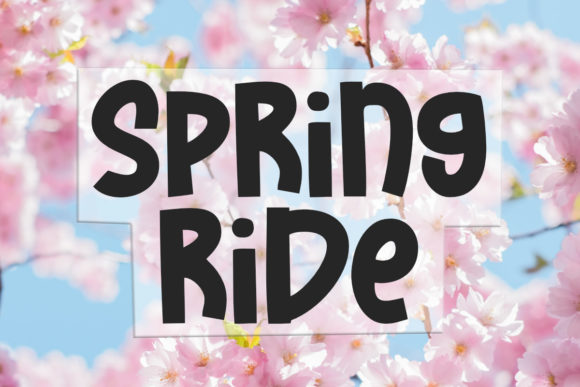 Spring Ride Font for Professional Branding and Design