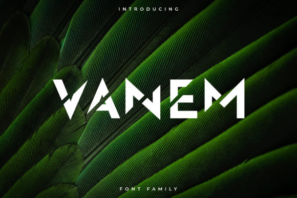 Vanem: A Modern Display Font for Handmade Creations